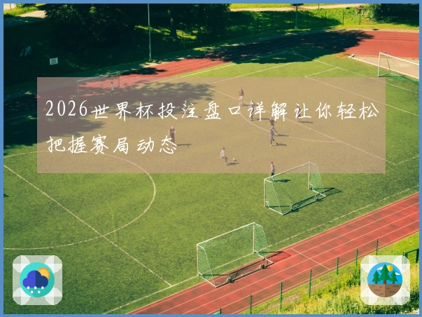 2026世界杯投注盘口详解让你轻松把握赛局动态