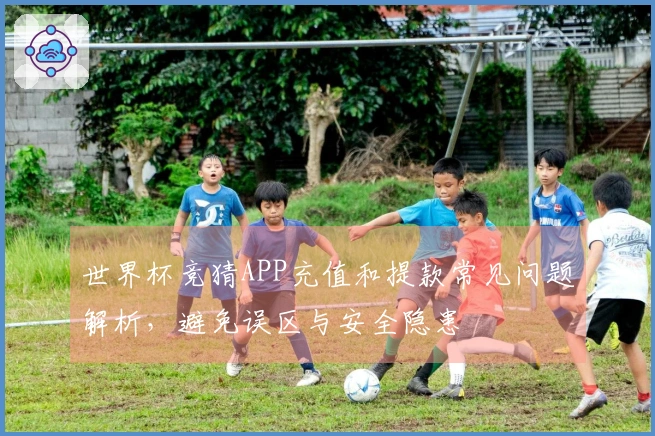 世界杯竞猜APP充值和提款常见问题解析，避免误区与安全隐患