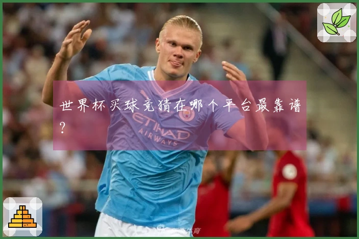 世界杯买球竞猜在哪个平台最靠谱？