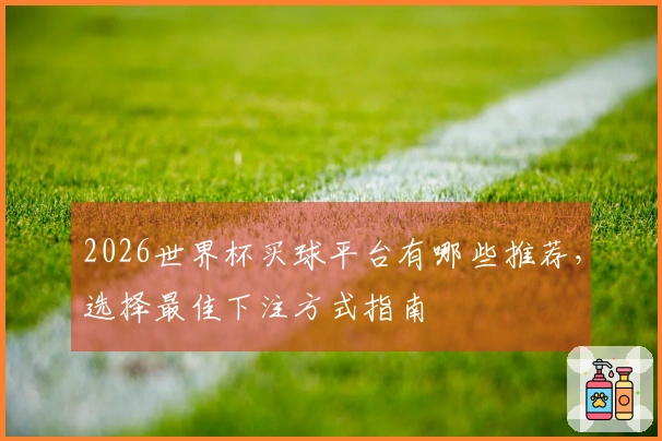 2026世界杯买球平台有哪些推荐，选择最佳下注方式指南