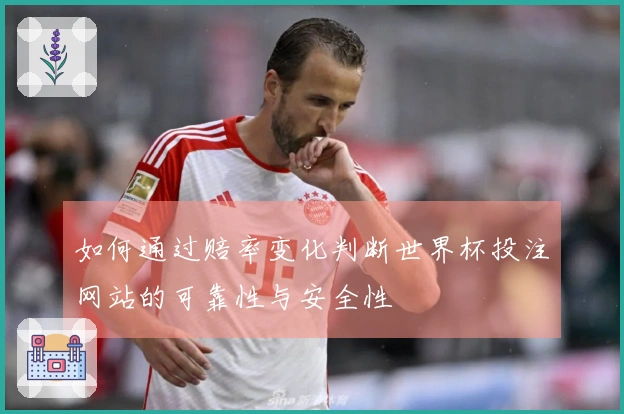 如何通过赔率变化判断世界杯投注网站的可靠性与安全性