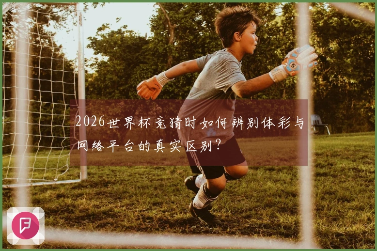 2026世界杯竞猜时如何辨别体彩与网络平台的真实区别？