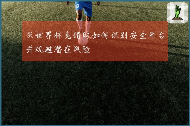 买世界杯竞猜时如何识别安全平台并规避潜在风险