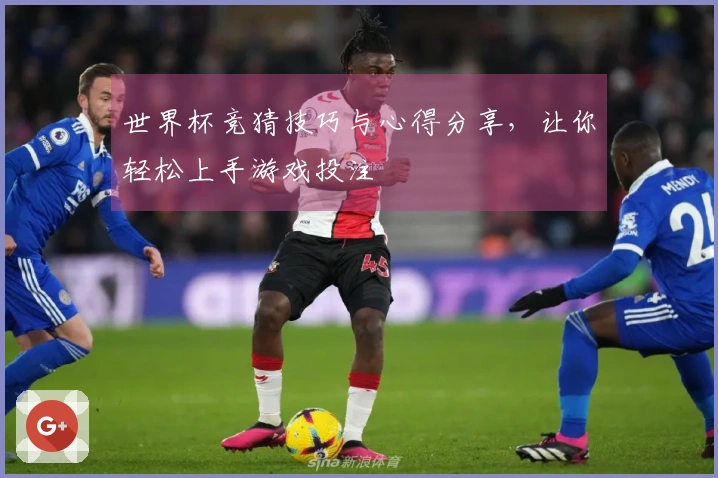 世界杯竞猜技巧与心得分享,让你轻松上手游戏投注