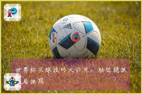 世界杯买球技巧大公开,助你稳抓胜局诀窍