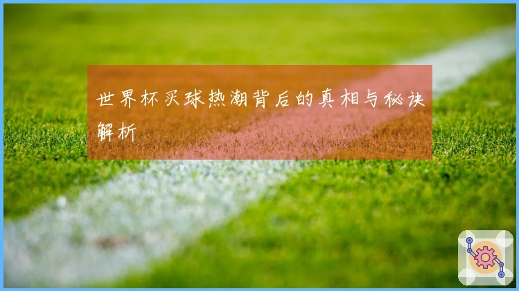 世界杯买球热潮背后的真相与秘诀解析