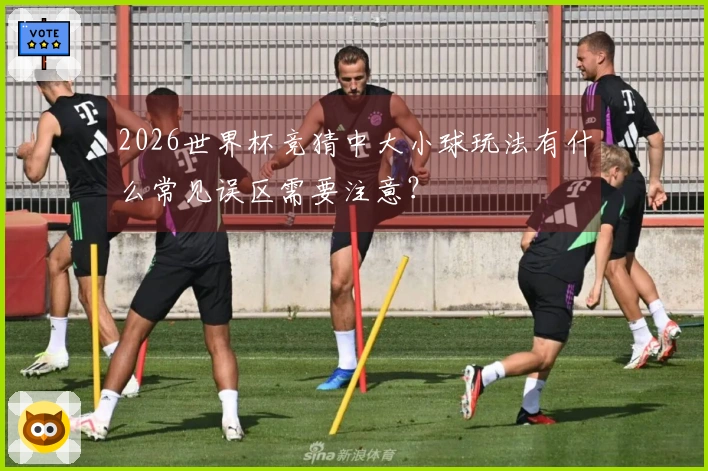 2026世界杯竞猜中大小球玩法有什么常见误区需要注意？