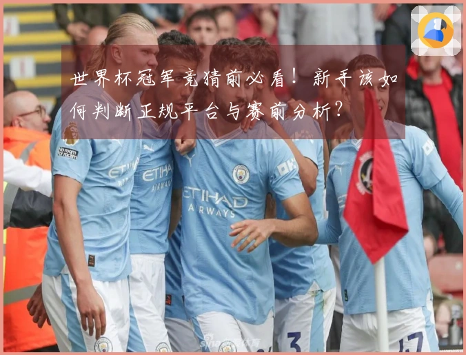 世界杯冠军竞猜前必看！新手该如何判断正规平台与赛前分析？