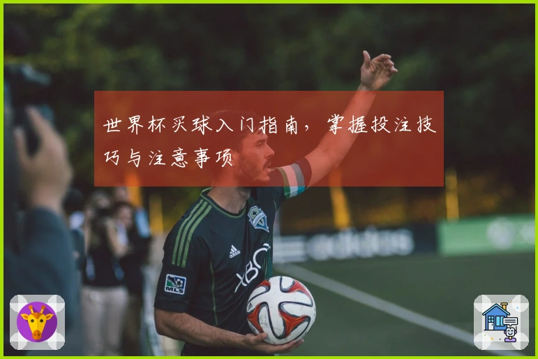 世界杯买球入门指南，掌握投注技巧与注意事项