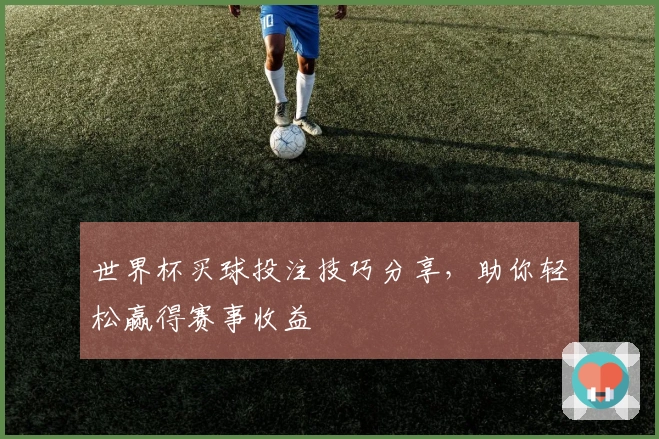 世界杯买球投注技巧分享,助你轻松赢得赛事收益