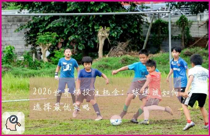 2026世界杯投注机会：球迷该如何选择最优策略
