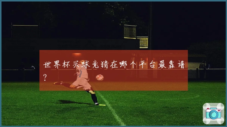 世界杯买球竞猜在哪个平台最靠谱？