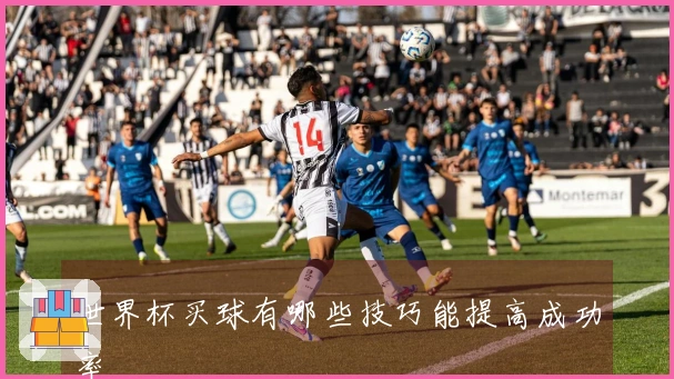 世界杯买球有哪些技巧能提高成功率