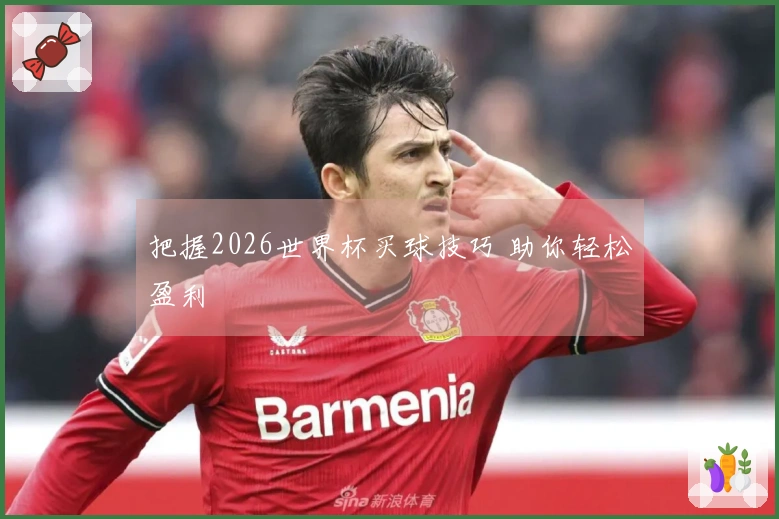把握2026世界杯买球技巧 助你轻松盈利