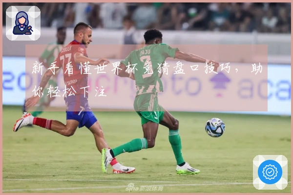 新手看懂世界杯竞猜盘口技巧，助你轻松下注