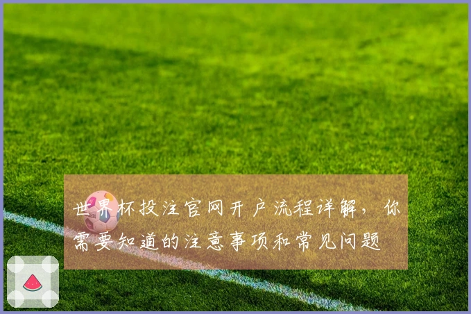 世界杯投注官网开户流程详解，你需要知道的注意事项和常见问题