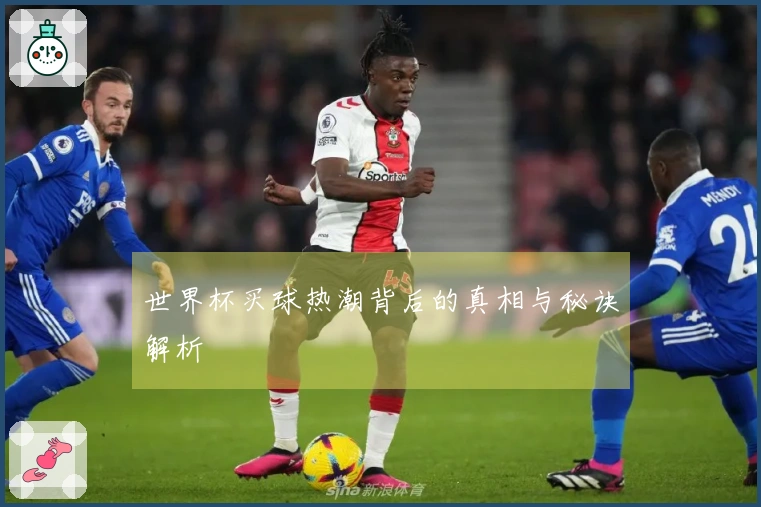 世界杯买球热潮背后的真相与秘诀解析