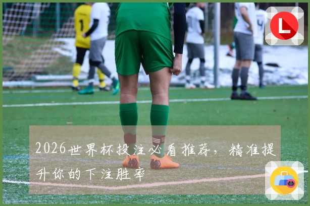 2026世界杯投注必看推荐，精准提升你的下注胜率