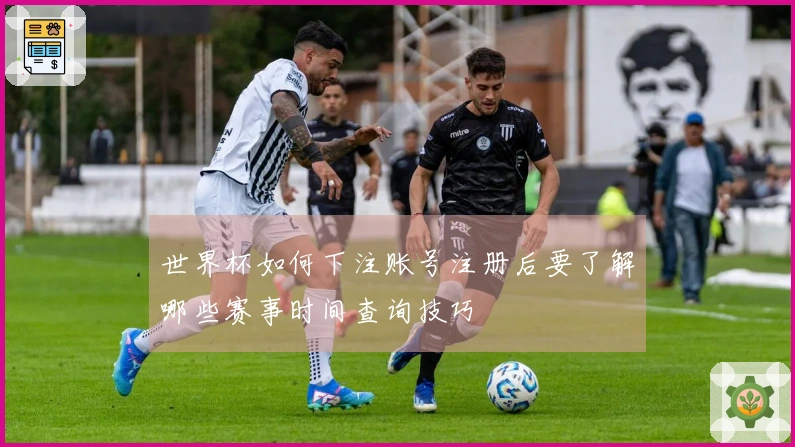 世界杯如何下注账号注册后要了解哪些赛事时间查询技巧