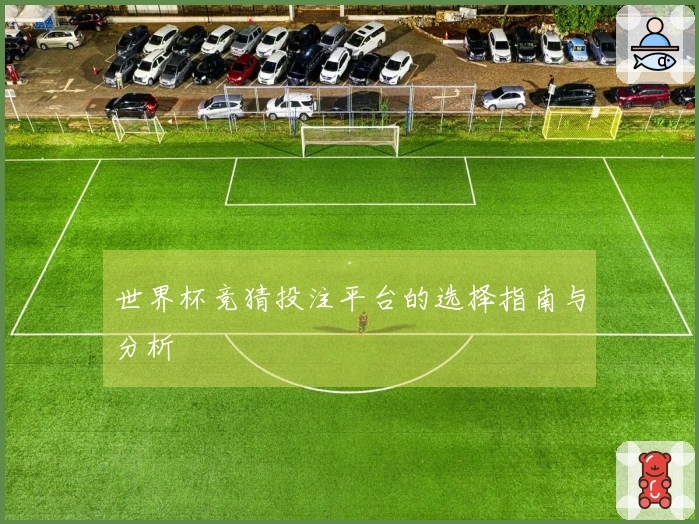 世界杯竞猜投注平台的选择指南与分析