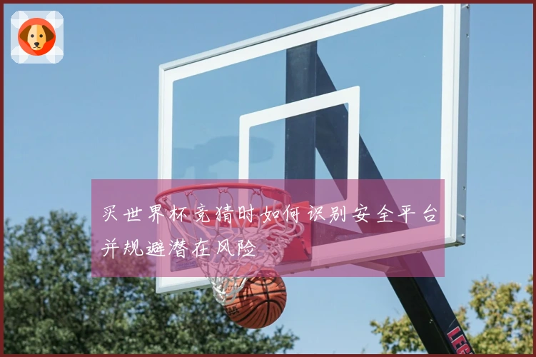 买世界杯竞猜时如何识别安全平台并规避潜在风险