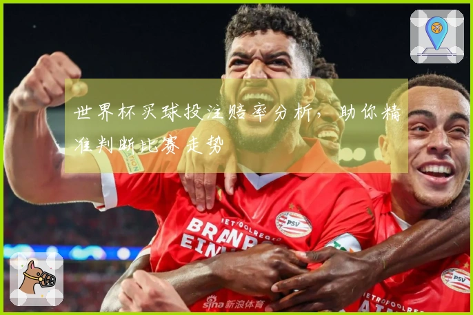 世界杯买球投注赔率分析，助你精准判断比赛走势