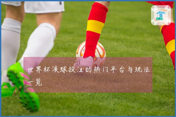 世界杯滚球投注的热门平台与玩法一览