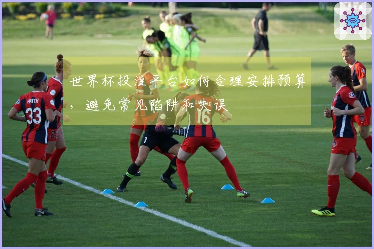 世界杯投注平台如何合理安排预算，避免常见陷阱和失误