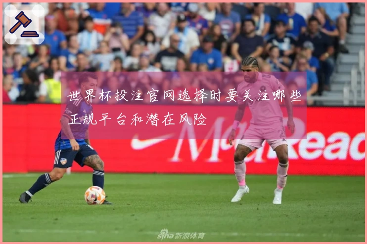 世界杯投注官网选择时要关注哪些正规平台和潜在风险