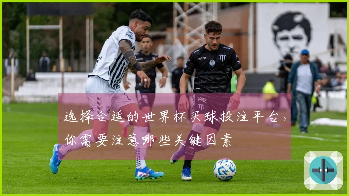 选择合适的世界杯买球投注平台，你需要注意哪些关键因素