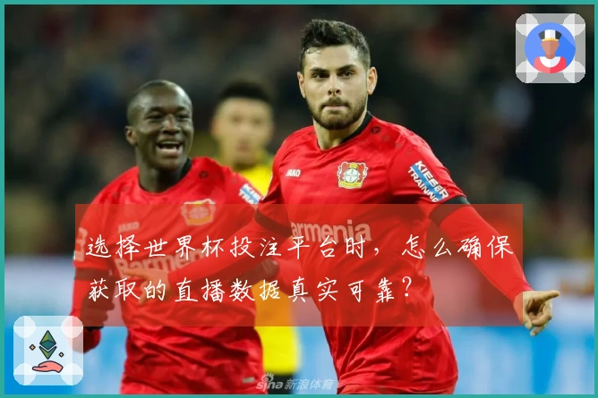 选择世界杯投注平台时，怎么确保获取的直播数据真实可靠？