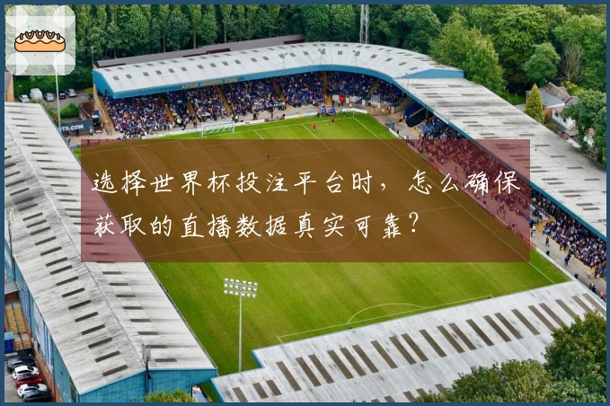 选择世界杯投注平台时，怎么确保获取的直播数据真实可靠？