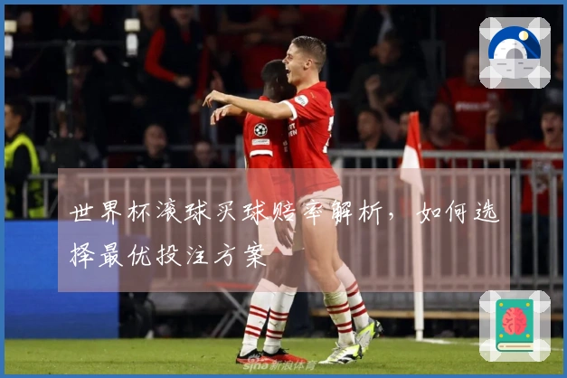 世界杯滚球买球赔率解析，如何选择最优投注方案