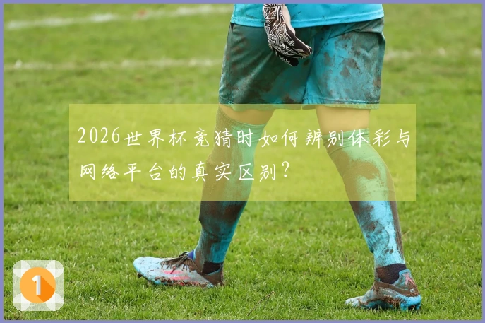 2026世界杯竞猜时如何辨别体彩与网络平台的真实区别？