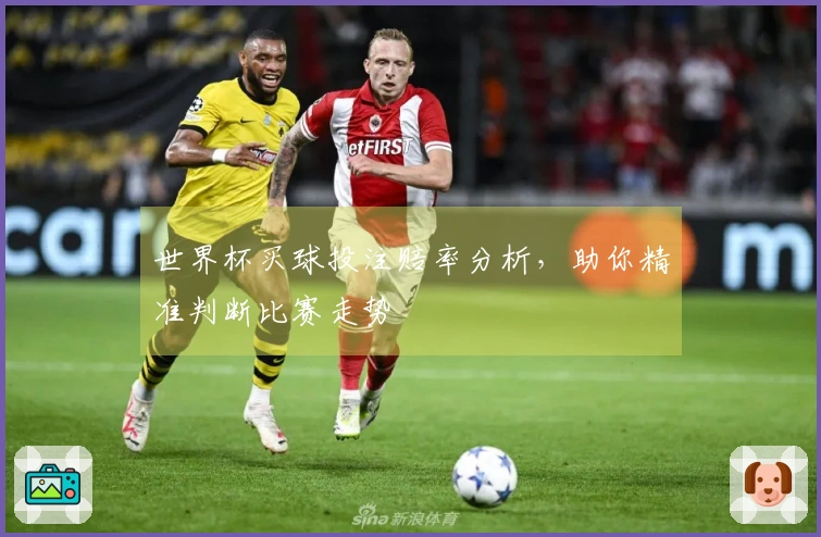 世界杯买球投注赔率分析，助你精准判断比赛走势