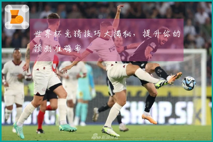 世界杯竞猜技巧大揭秘，提升你的预测准确率