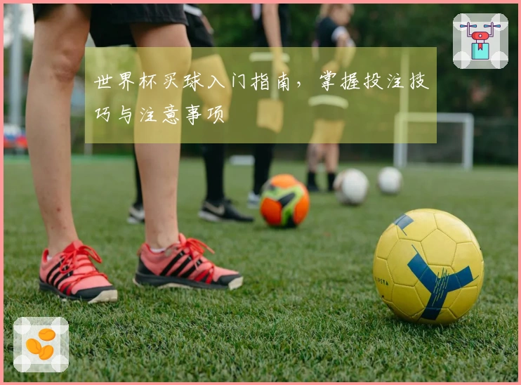 世界杯买球入门指南，掌握投注技巧与注意事项