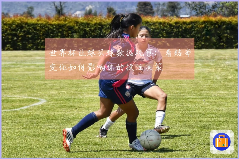 世界杯让球买球数据观察：看赔率变化如何影响你的投注决策