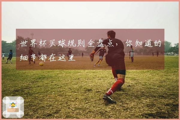 世界杯买球规则全盘点，你知道的细节都在这里