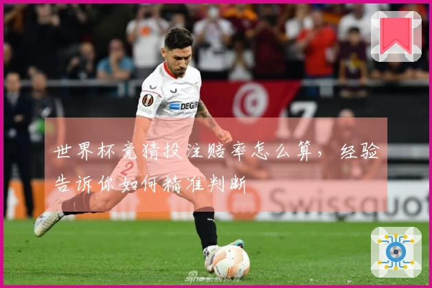 世界杯竞猜投注赔率怎么算,经验告诉你如何精准判断