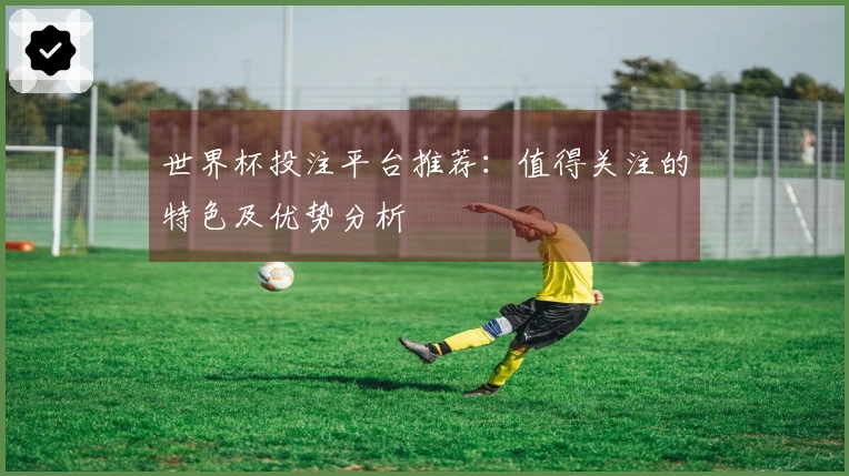 世界杯投注平台推荐：值得关注的特色及优势分析